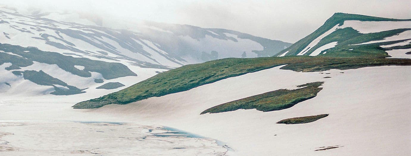 Snow-covered mountains with green grass
